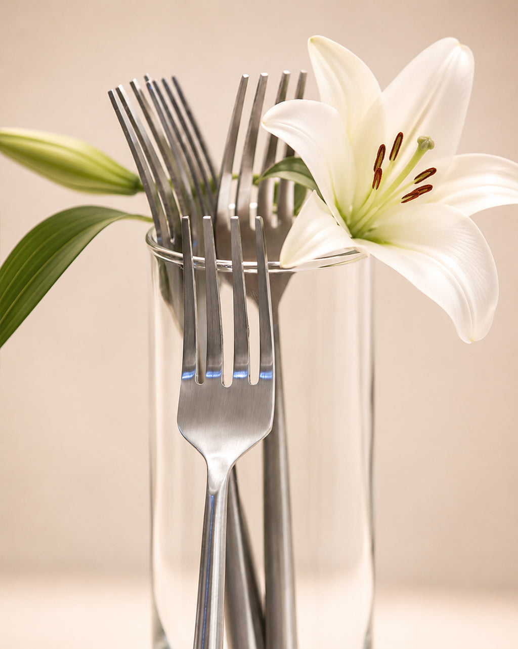 Stainless Steel Fork with Round Handle Set of 4