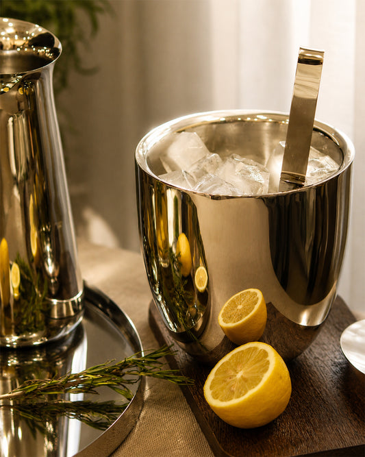 Double Walled Ice Bucket with Tongs