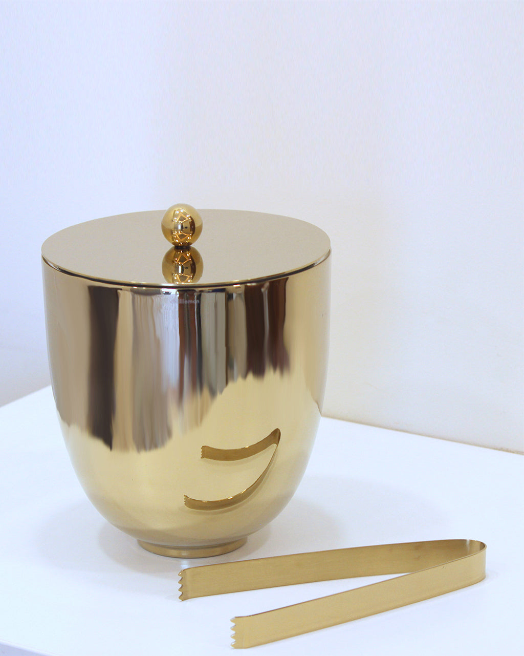 Double Walled Ice Bucket with Tongs