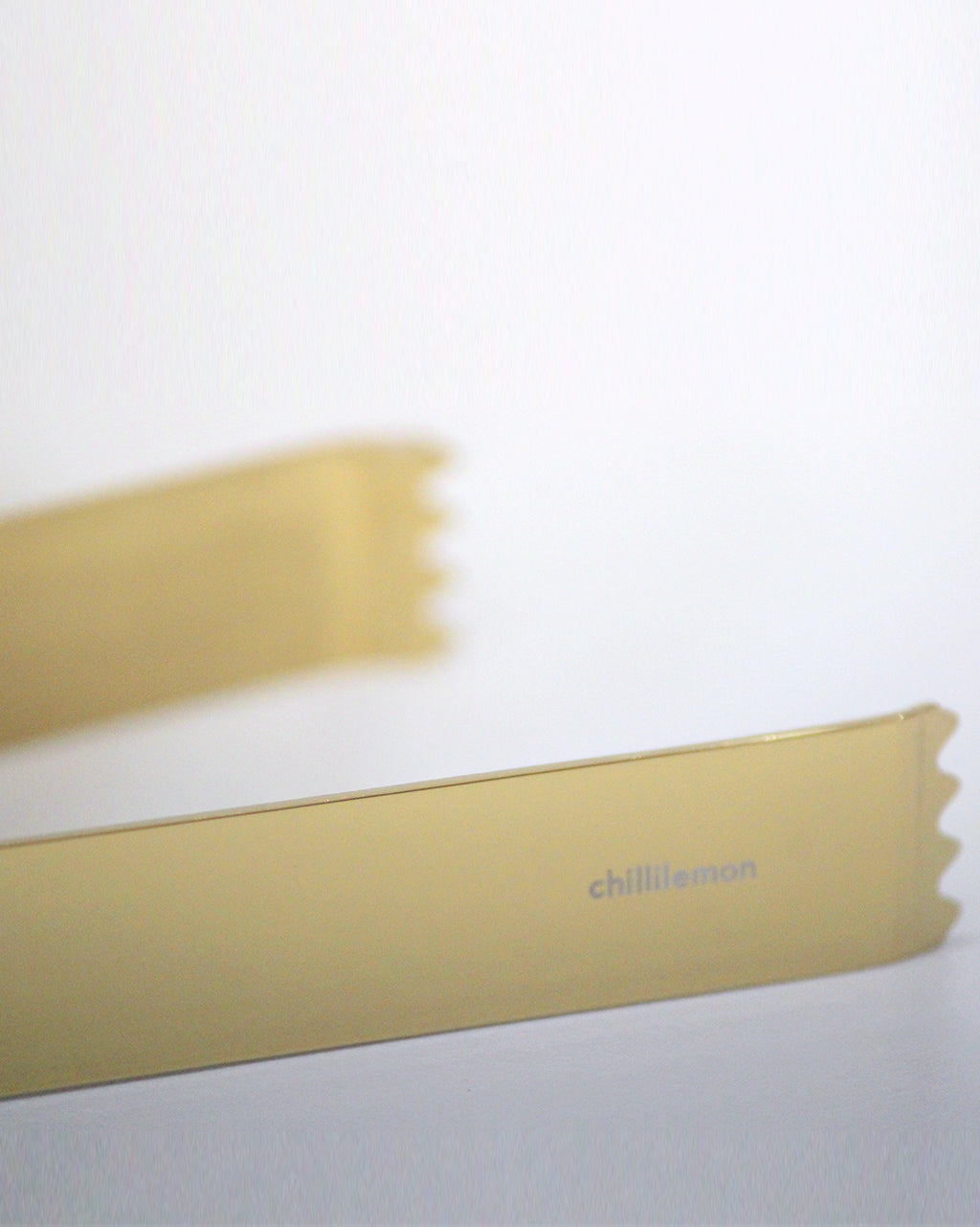 Double Walled Ice Bucket with Tongs