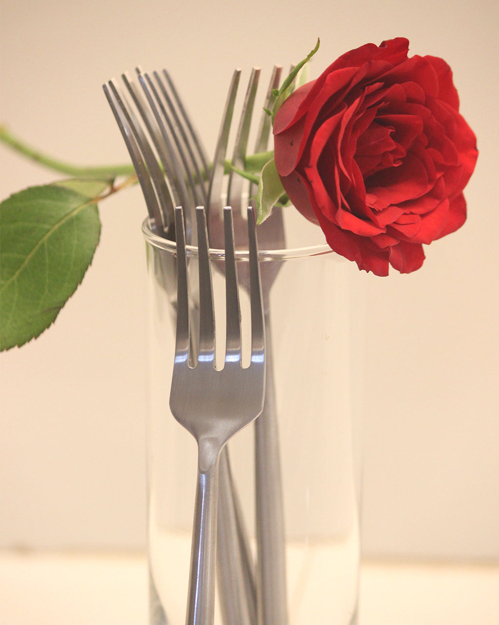 Round Handle Fork Set of 4