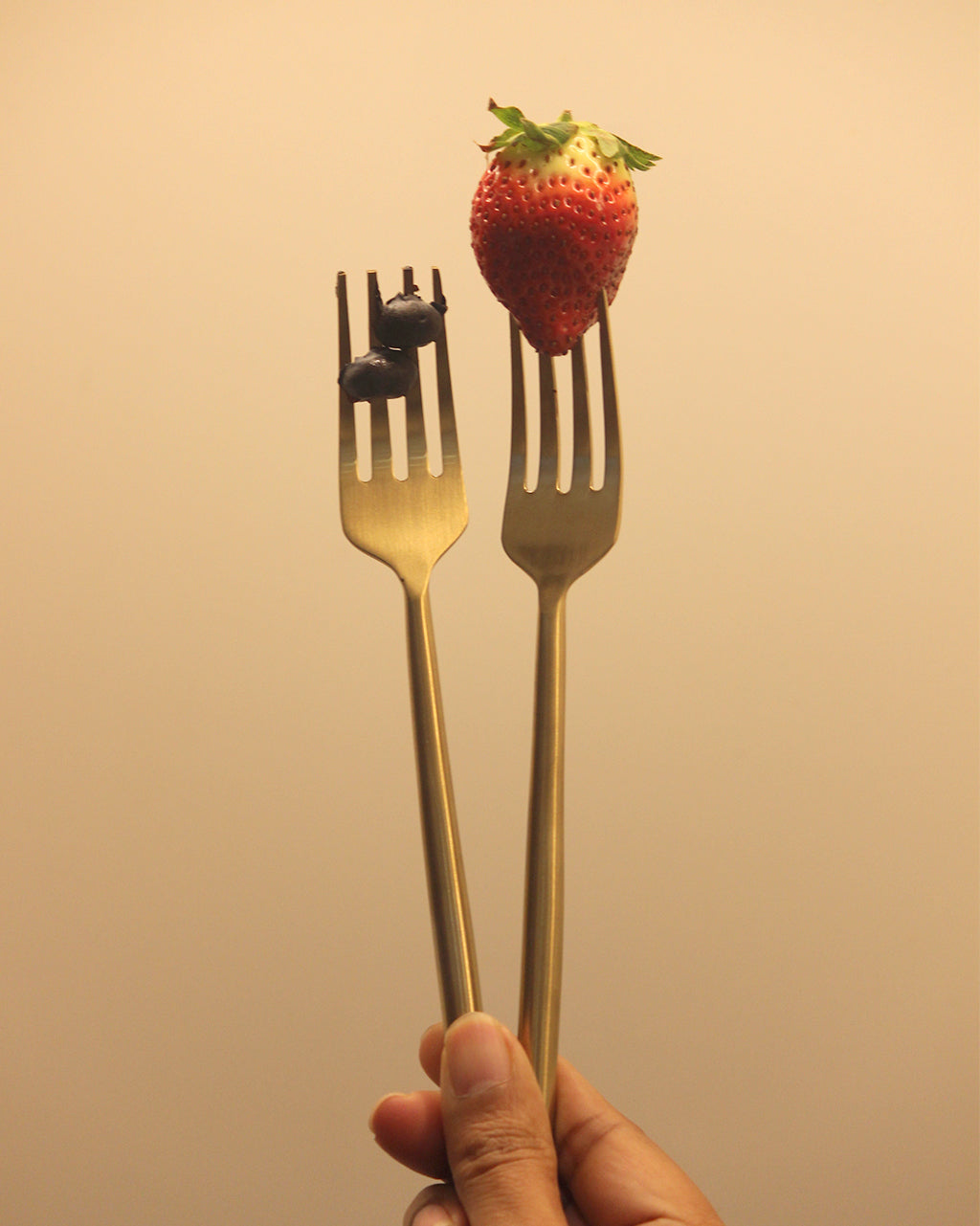 Round Handle Fork Set of 4