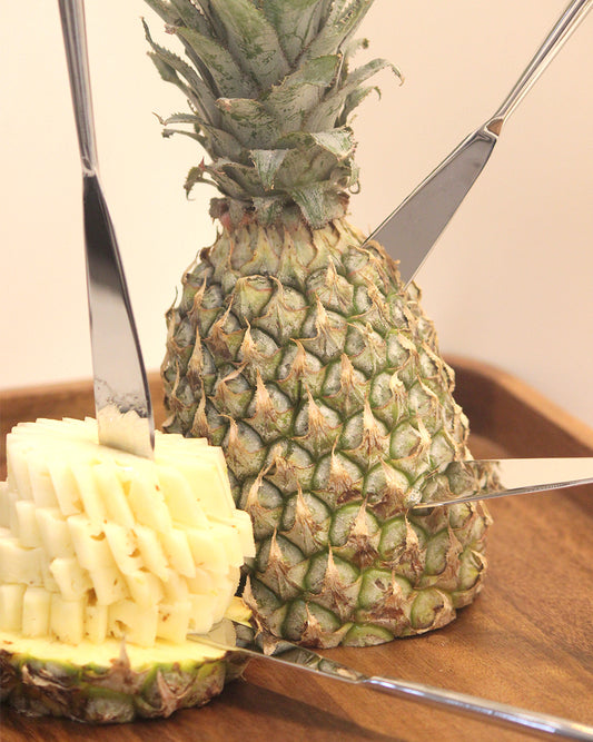 Round Handle Knife Set of 4